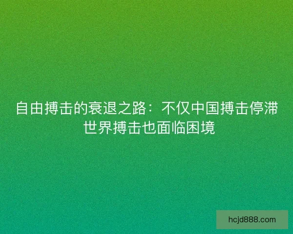 自由搏击的衰退之路：不仅中国搏击停滞 世界搏击也面临困境